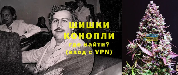 дурь Белокуриха