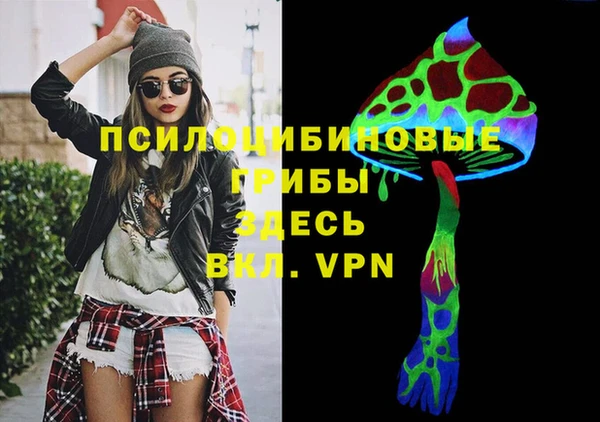 дурь Белокуриха