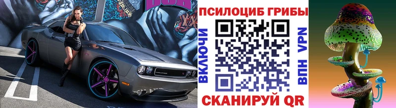 Псилоцибиновые грибы Psilocybe Славгород