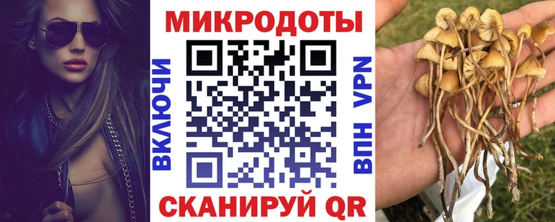 Галлюциногенные грибы Magic Shrooms  купить наркотик  Славгород 