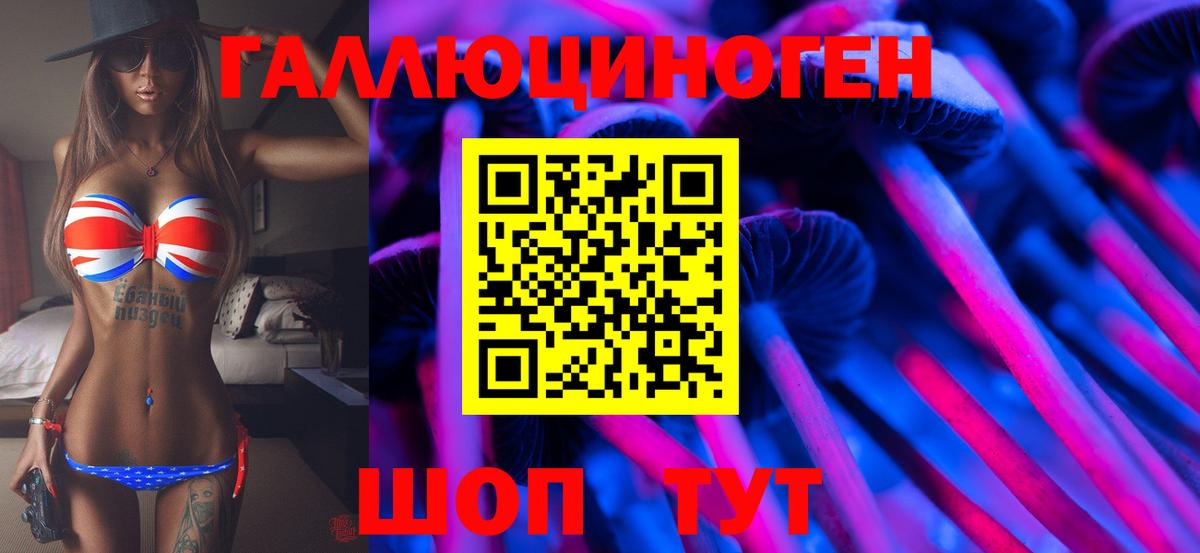 Псилоцибиновые грибы GOLDEN TEACHER Славгород